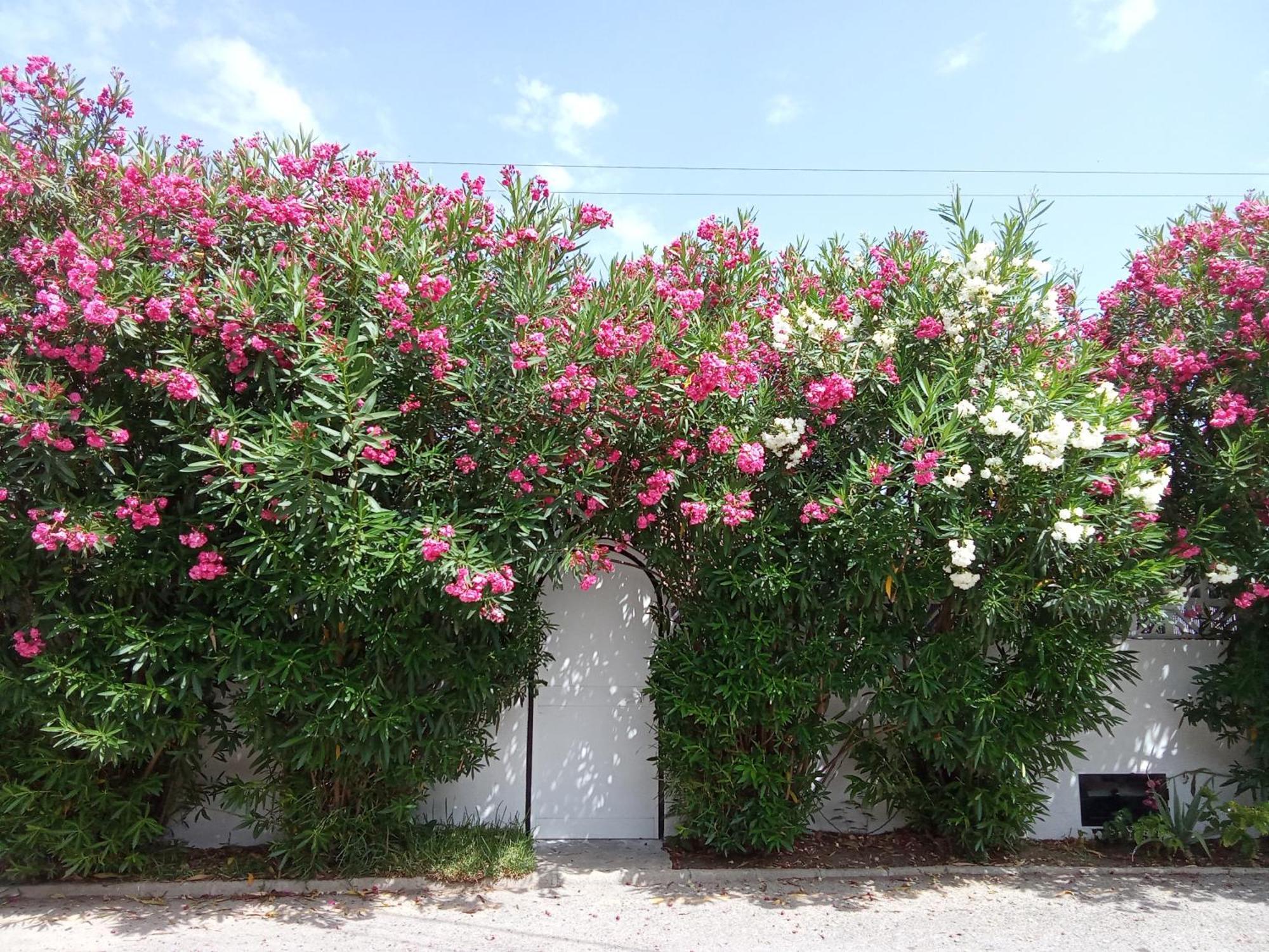 Bungalow Marbella Zewnętrze zdjęcie