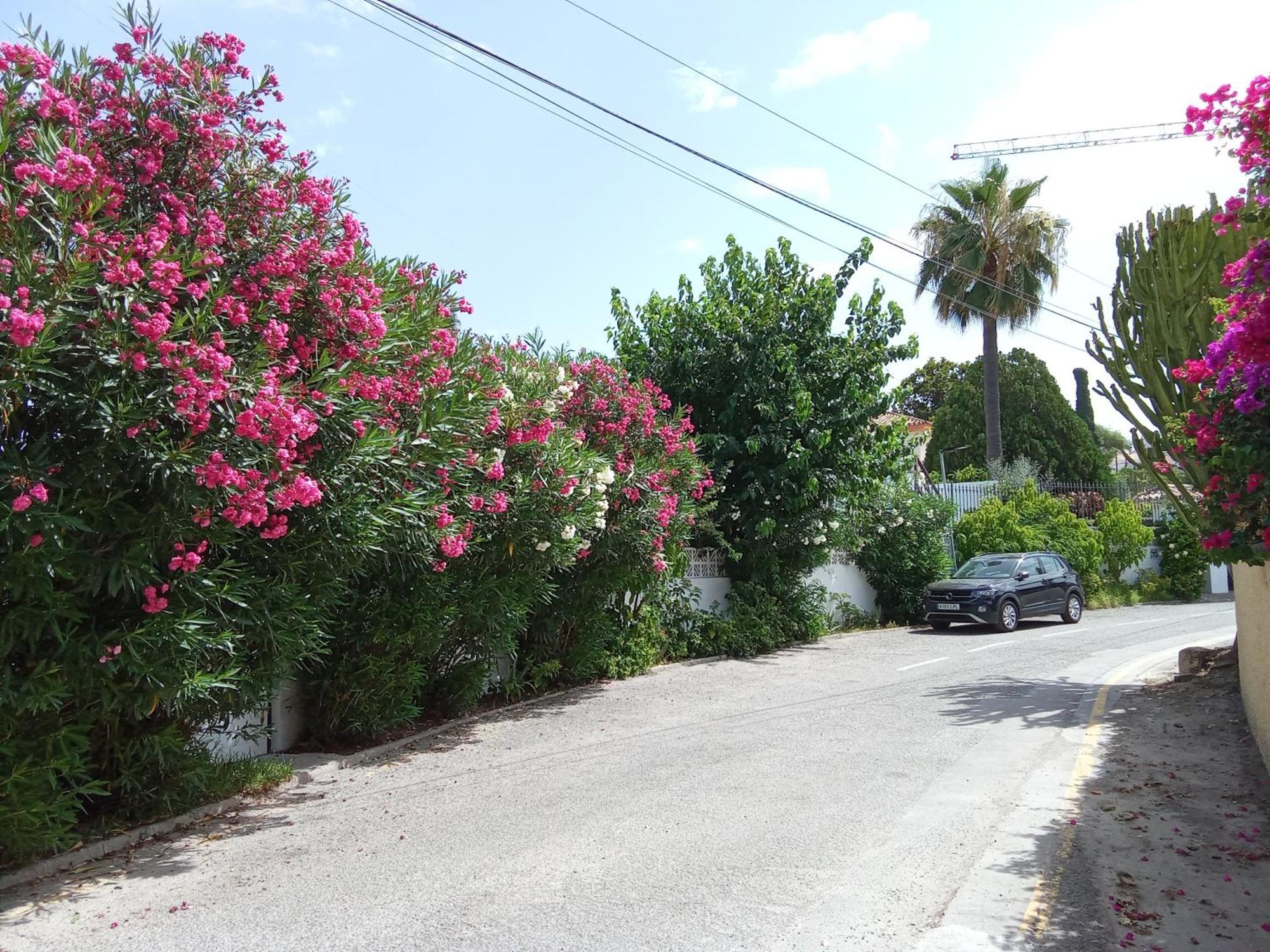 Bungalow Marbella Zewnętrze zdjęcie